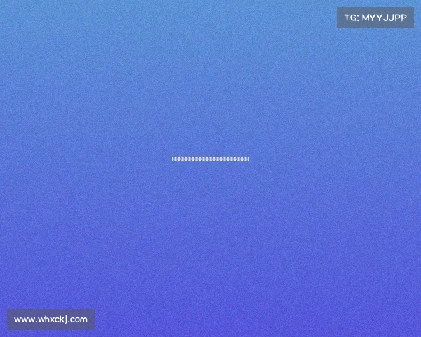 西甲夏季转会市场：各大豪门动态与新星加盟解析