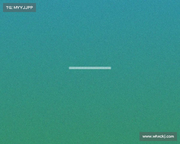 德保罗：来美职联并非为了放松，斯卡洛尼全力支持我转会决定