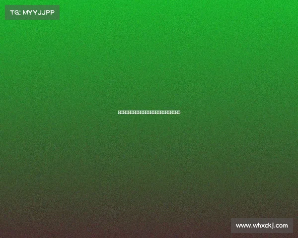 萨基：国米应听取齐沃建议围绕他需求引援补强球队阵容