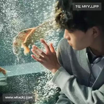 符弛照